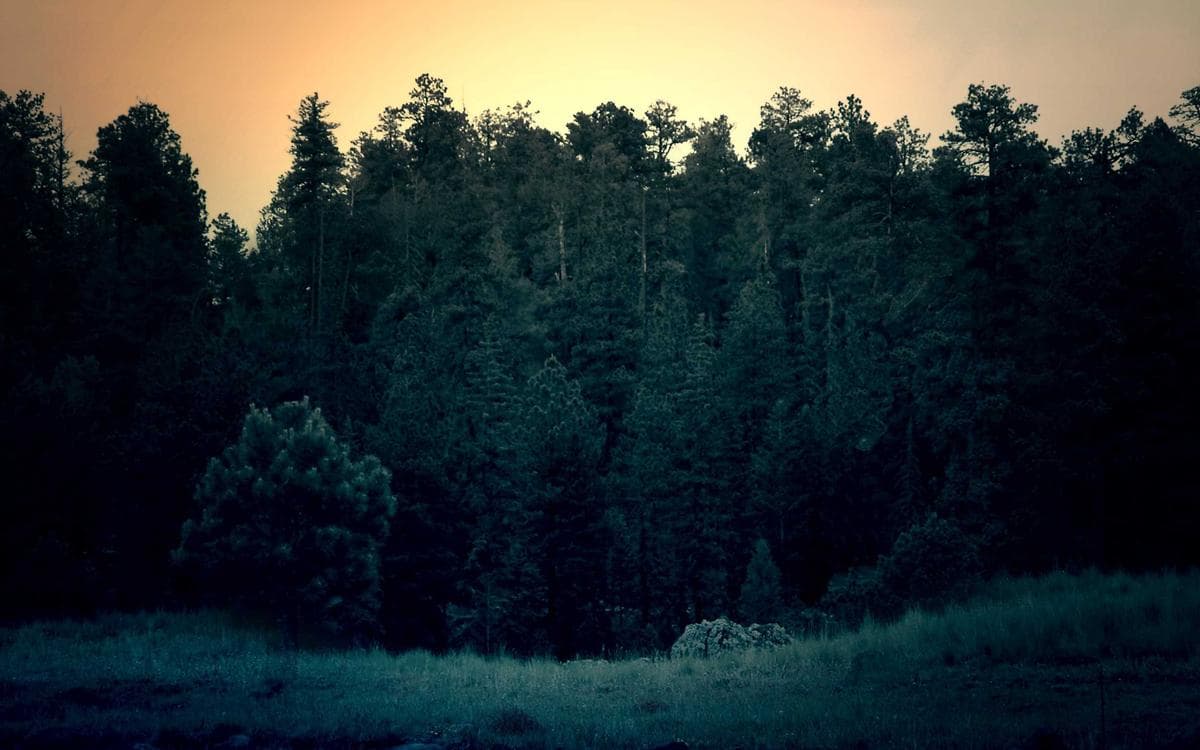 Dark Scene Template Vol.87
