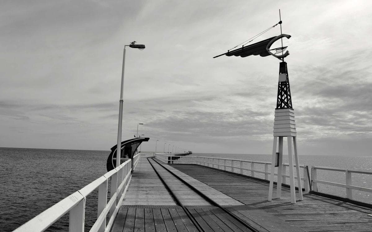Bold Business Guide Vol.211