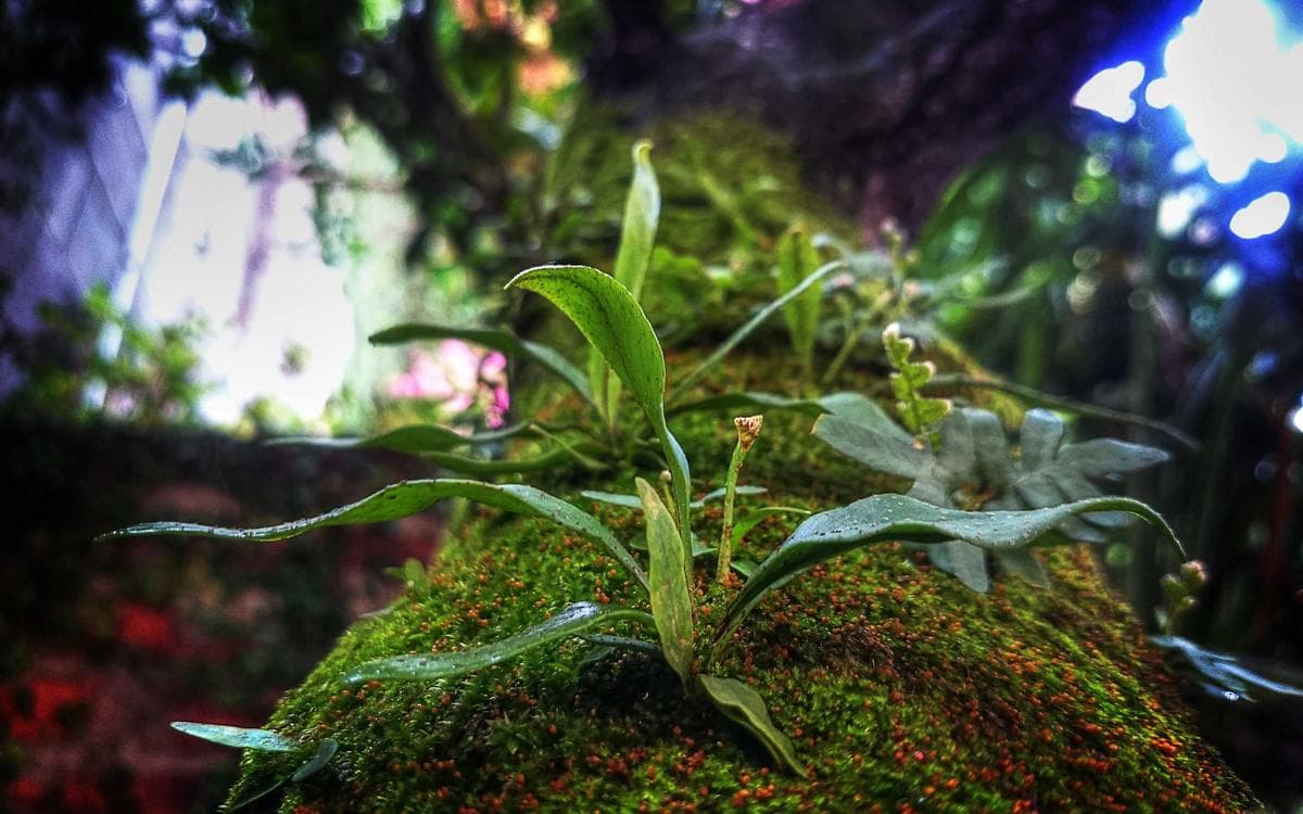 Creative Health Workbook Vol.303