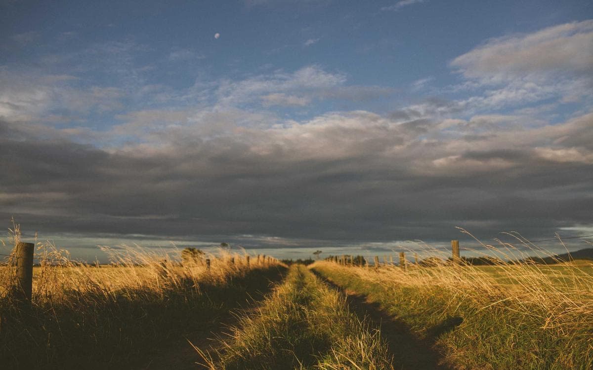 Pro Script Typeface Vol.494