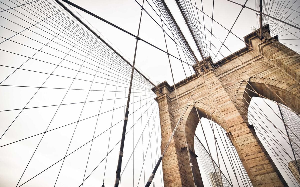 Bold Social Media Kit Vol.195