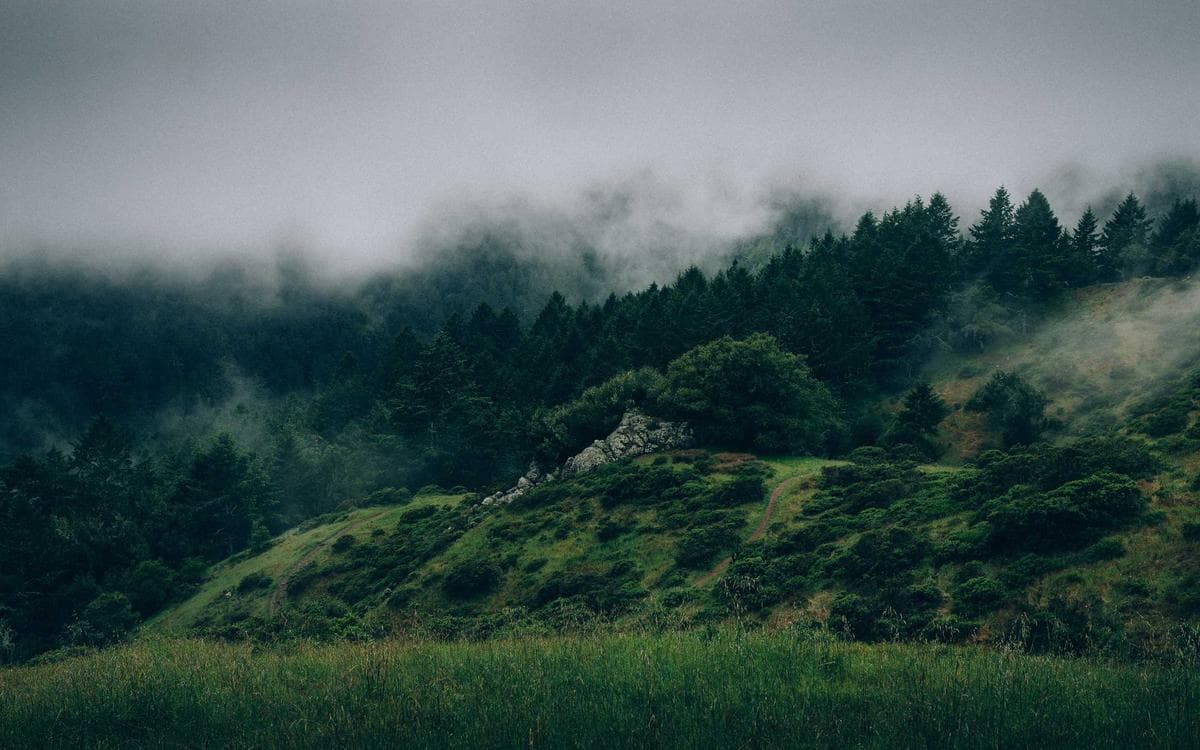 Ultimate Social Media Kit Vol.93