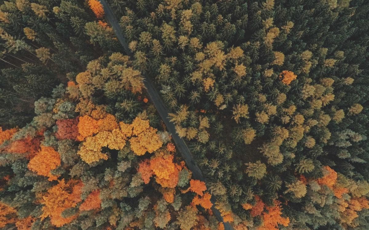 Essential Shape Library Vol.108