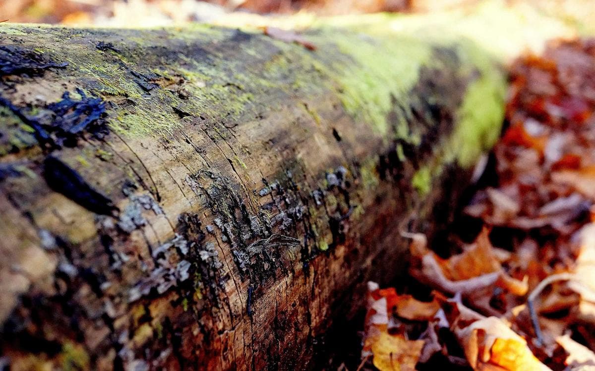 Bright Texture Pack Vol.152