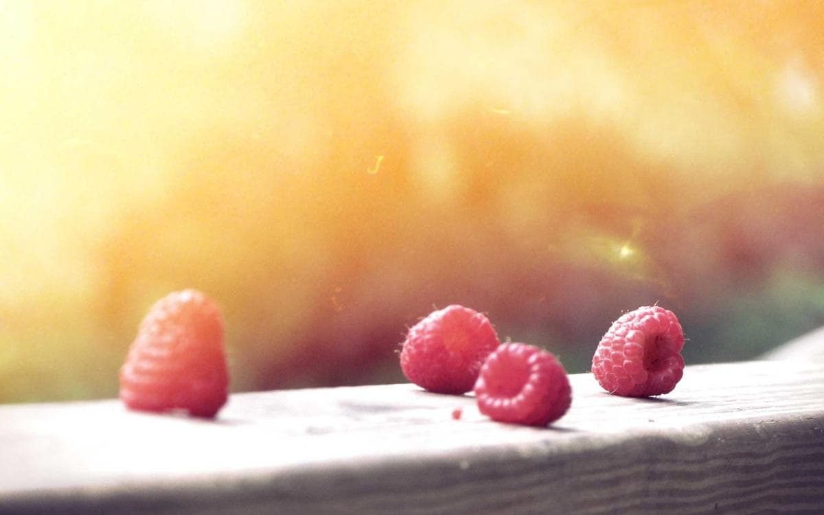 Creative Pattern Set Vol.159