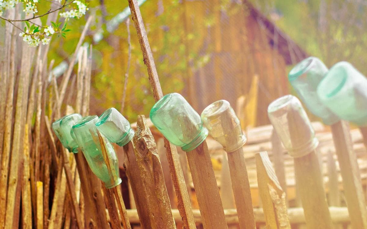 Clean Nature Gallery Vol.233