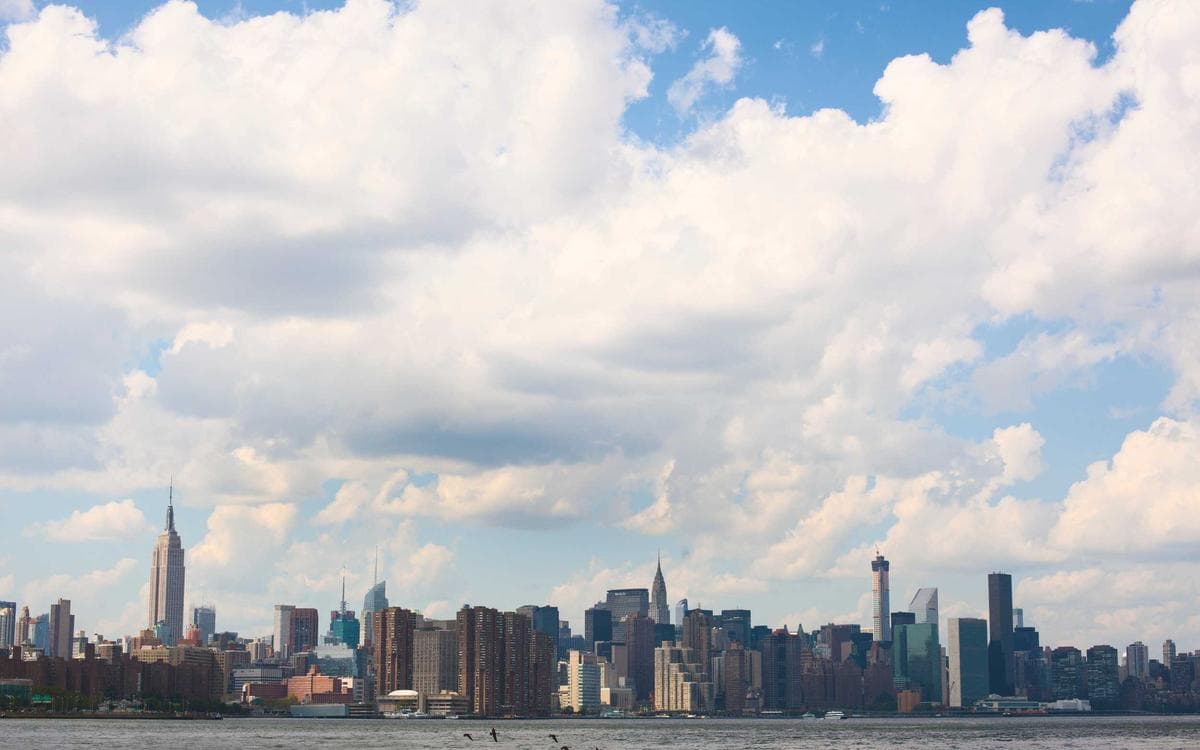 Elegant Social Clip Pack Vol.101