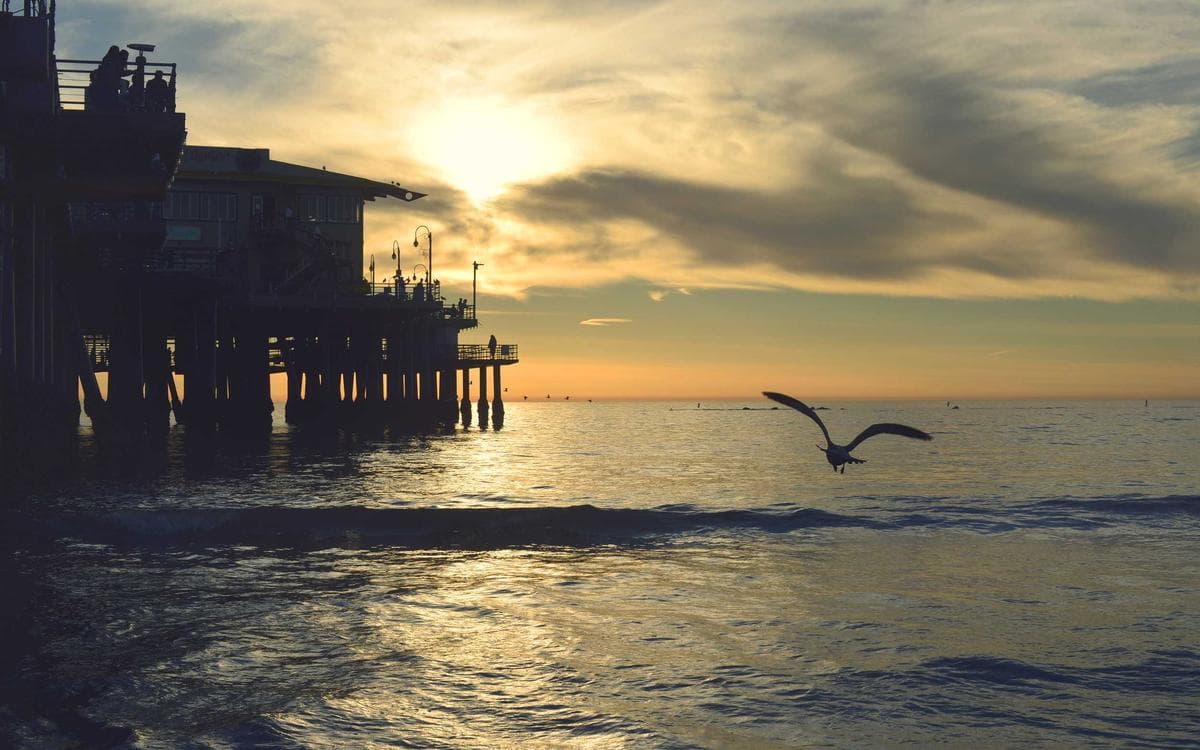 Essential Promo Template Vol.140