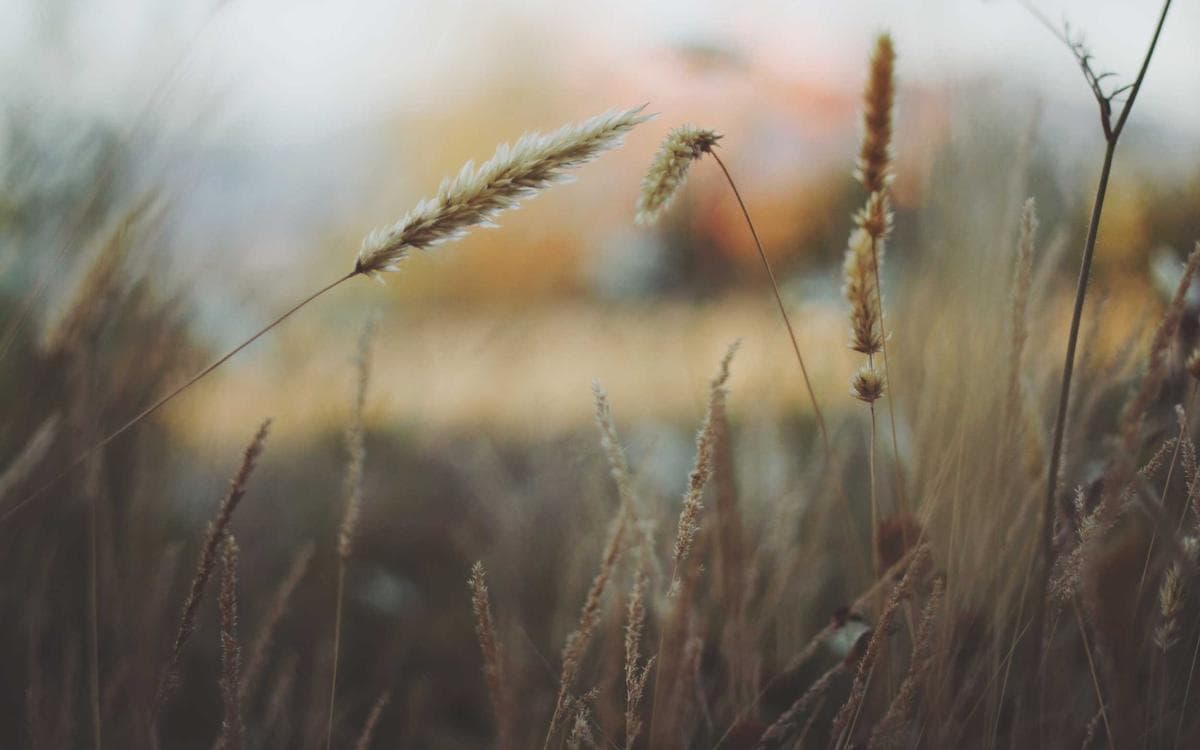 Retro Slideshow Kit Vol.154