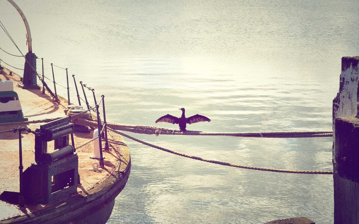 Ultimate Landing Page Kit Vol.157