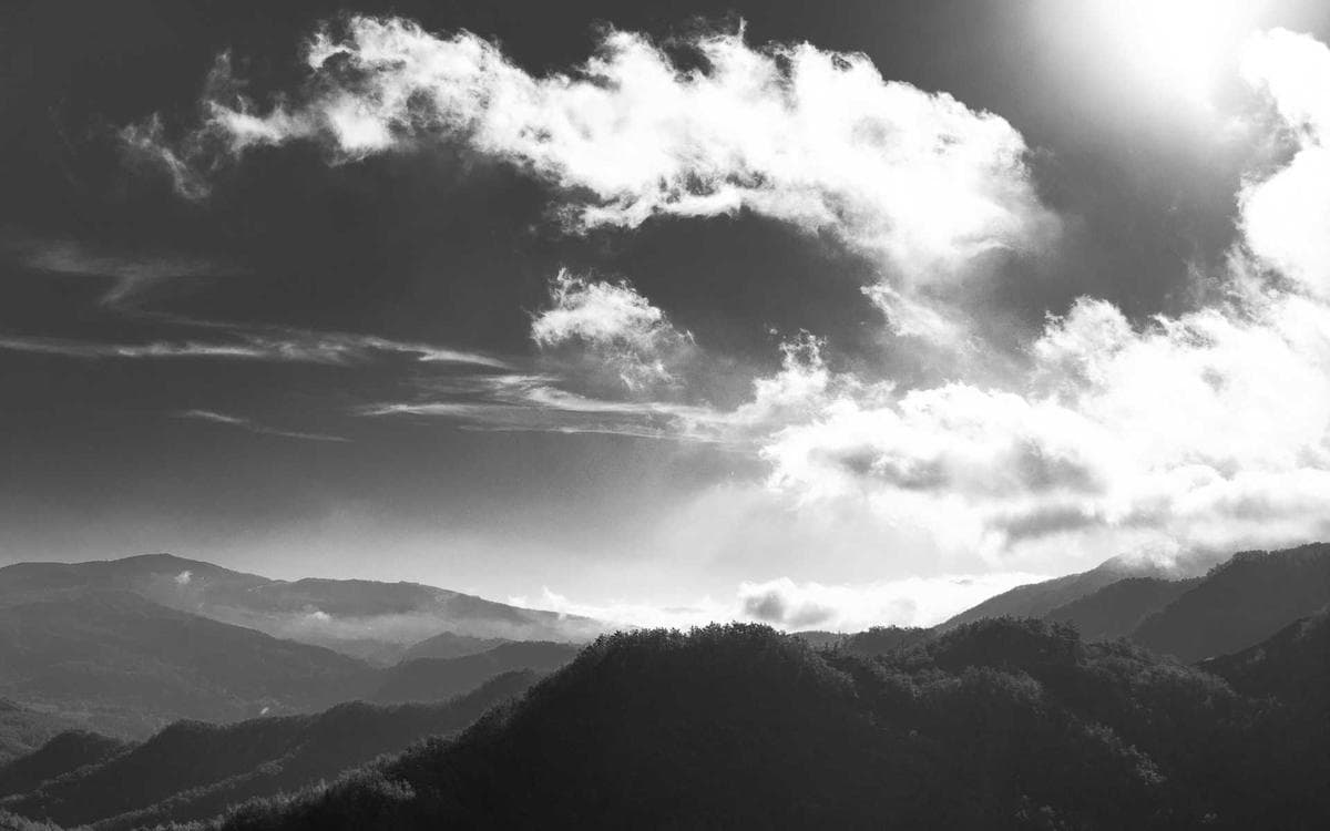 Bold Landing Page Kit Vol.163