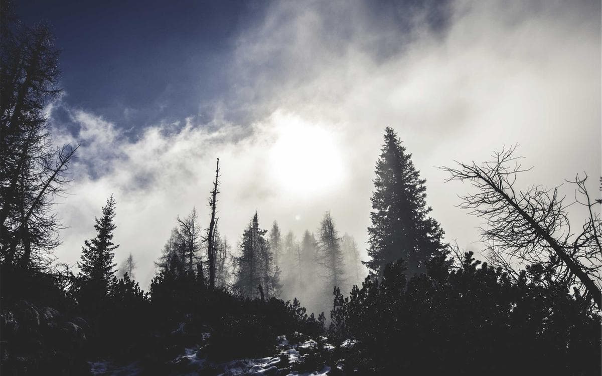 Dark Landing Page Kit Vol.199
