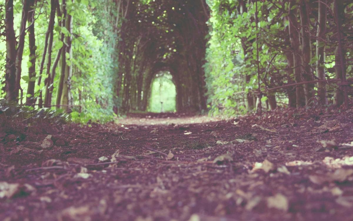 Pro Dashboard UI Vol.494