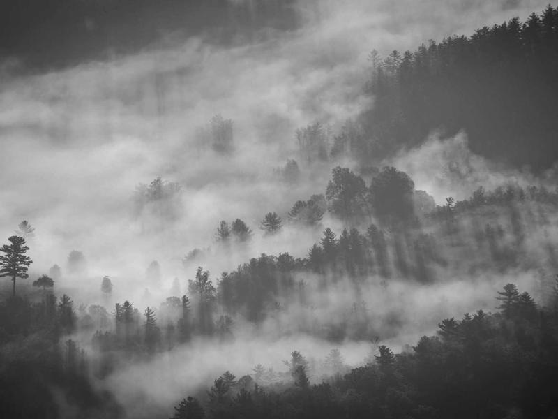 Premium Brush Pack Vol.459