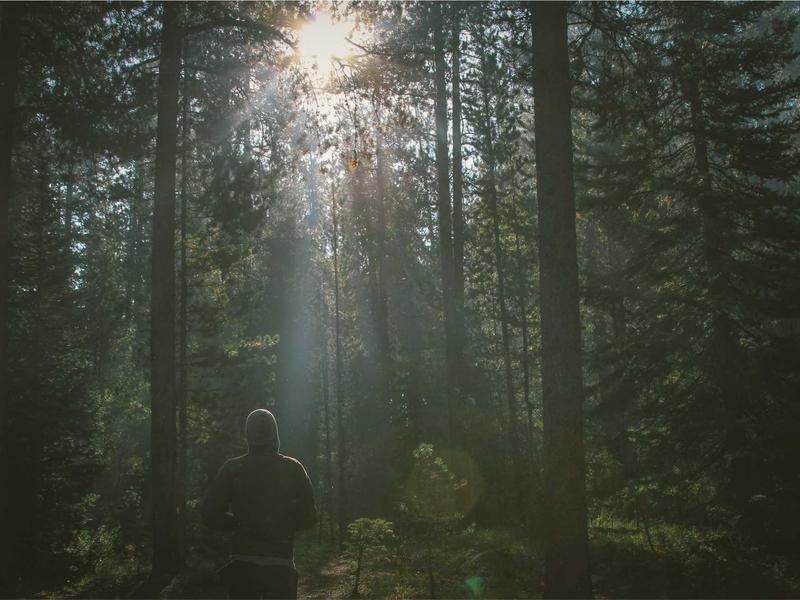 Modern LUT Bundle Vol.497