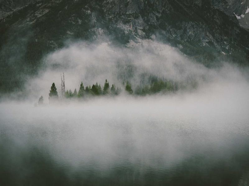 Ultimate Icon Collection Vol.493