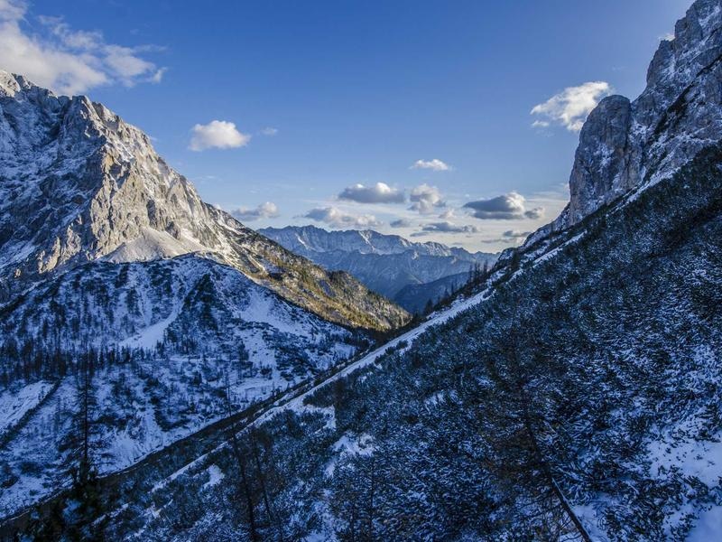 Ultimate Nature Gallery Vol.461
