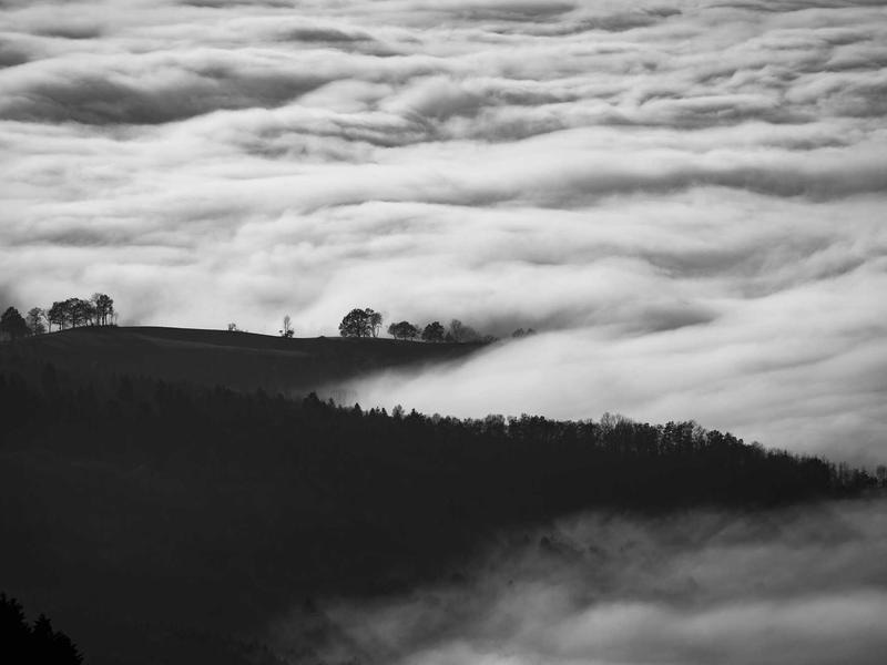 Essential Blog Starter Vol.156