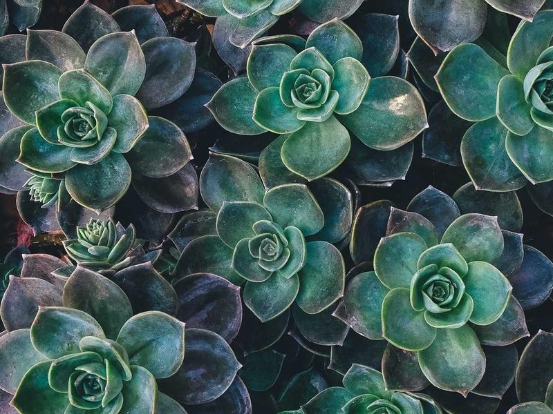 Bright SaaS Template Vol.88