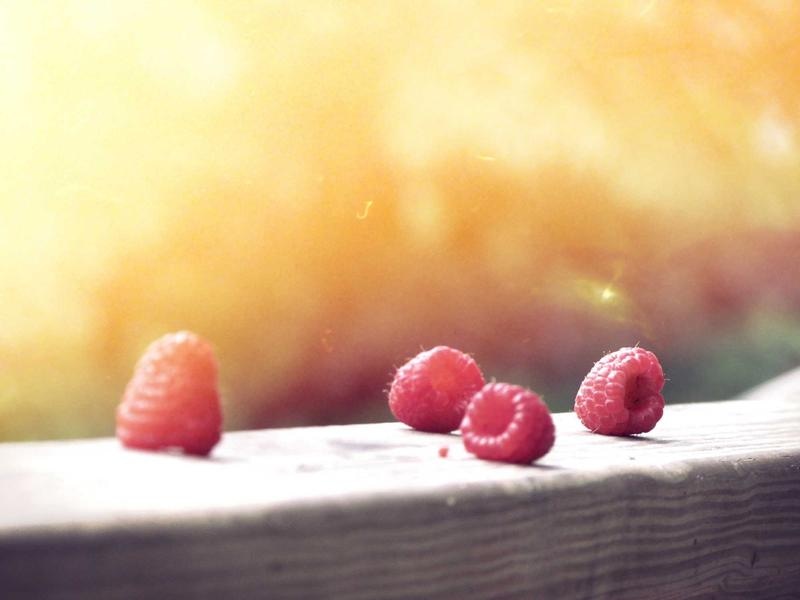 Smart Blog Starter Vol.96
