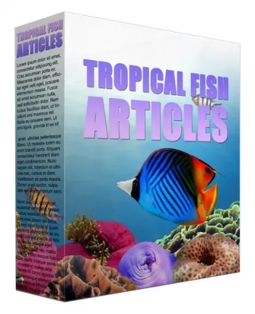 Tropical Fish PLR Content