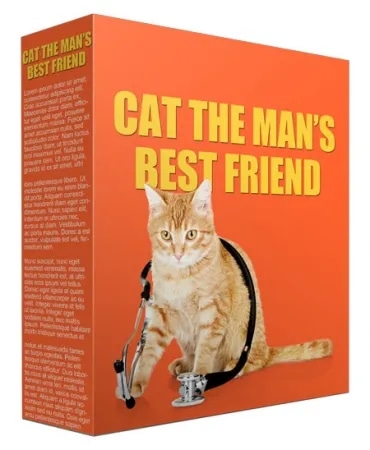 Cat As A Man's Best Friend
